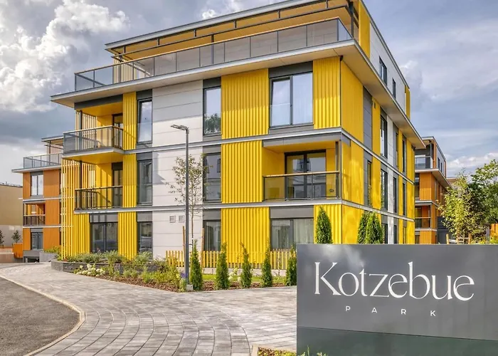 Kotzebue - Sleek & Moody, Dark & Black