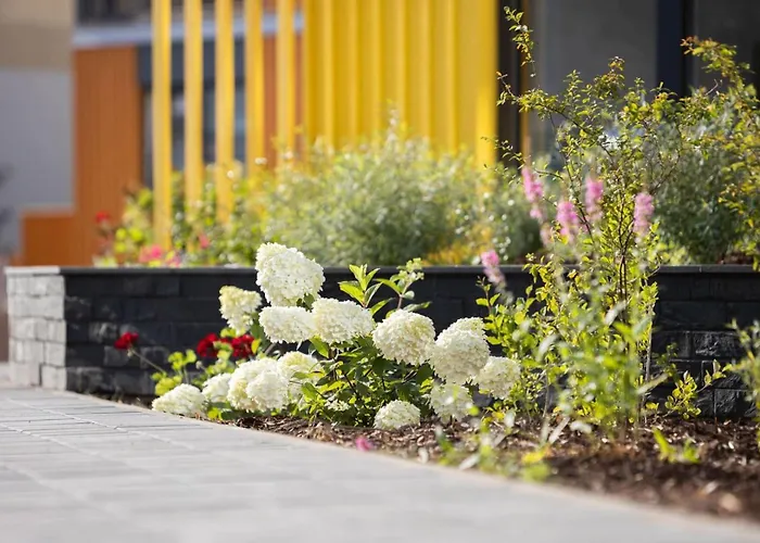 Kotzebue - Sleek & Moody, Dark & Black *